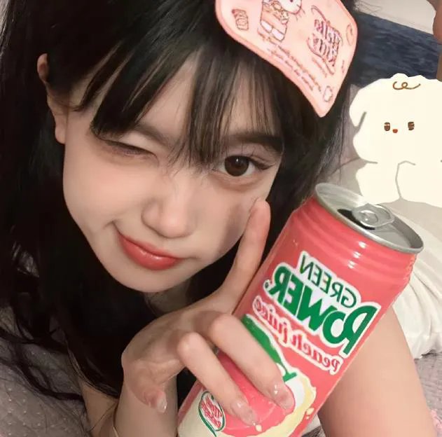 施密特的猫
